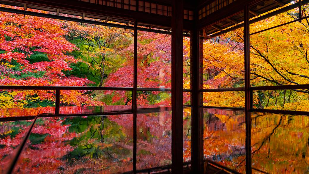 紅葉の瑠璃光院 / 2