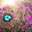 furumi222