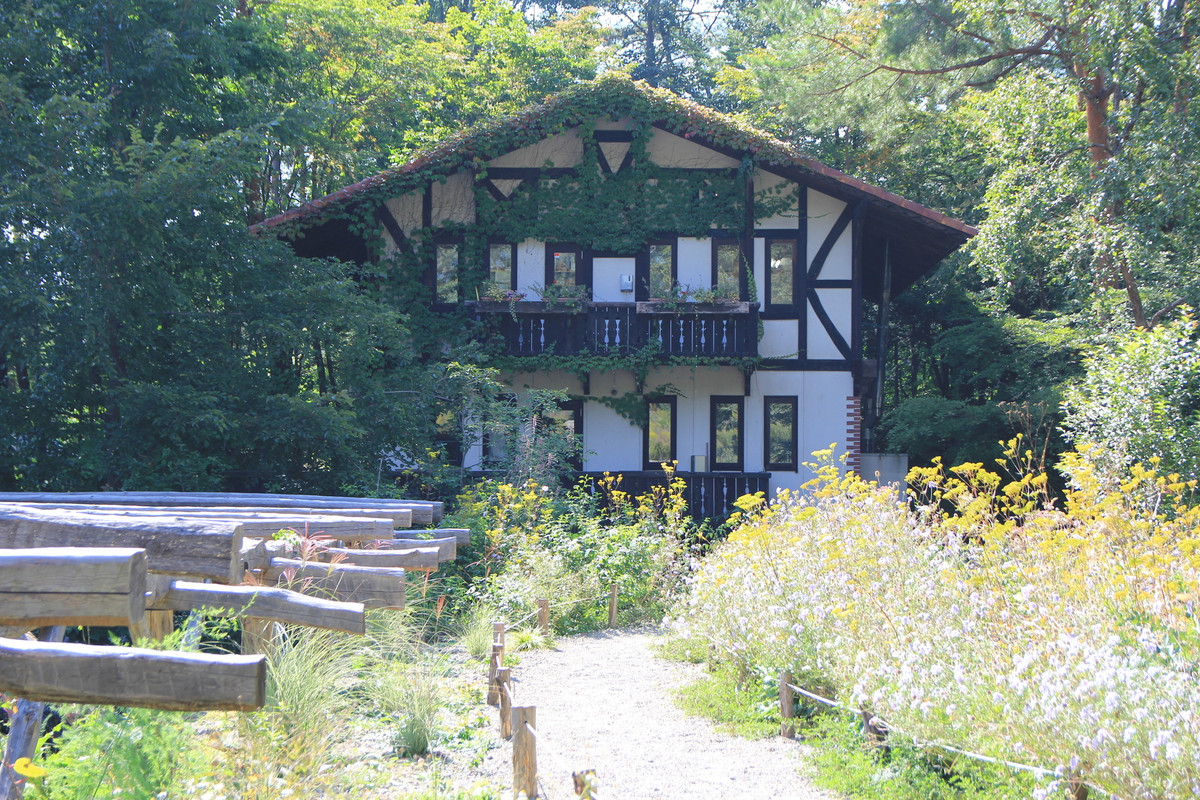 萌木の村の自然(1)