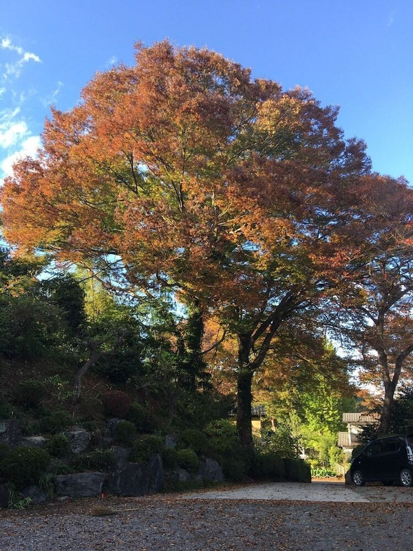 施設からの眺望