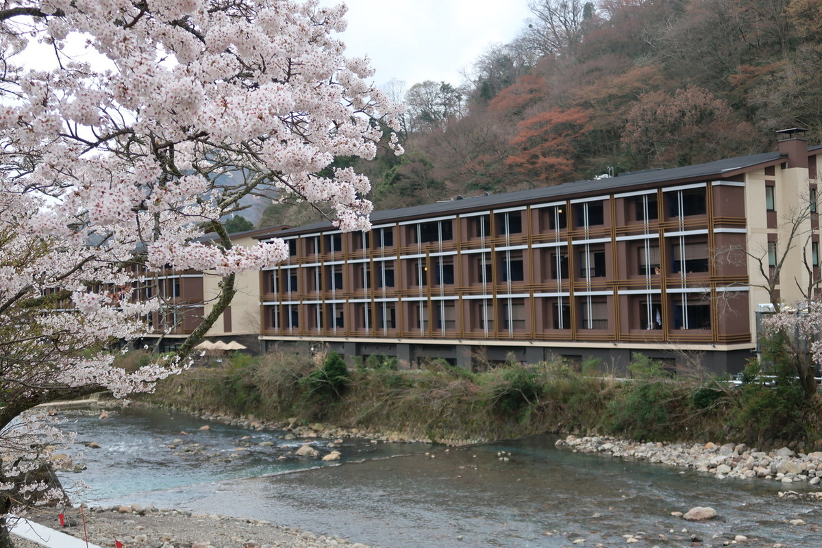 桜とパチリ