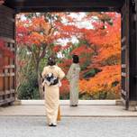 京都・紅葉の名所で心洗われる。「嵐山・嵯峨野」の紅葉スポット5選