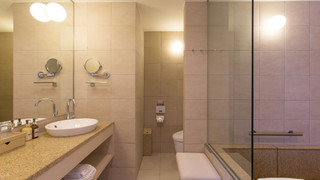 デラックススイート (コートヤード側)