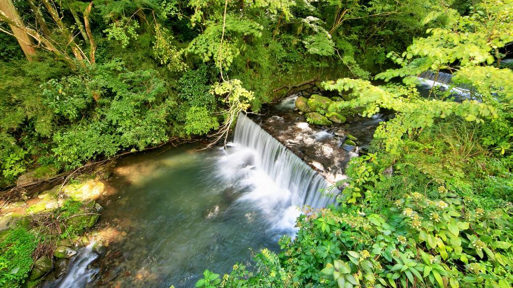 蛇骨川のせせらぎに
耳を傾け二人で散策 / 2