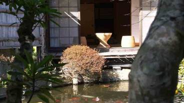 テラス / パティオ / 8