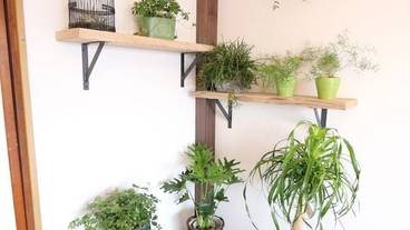 客室の設備とサービス / 12