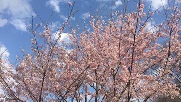 施設の敷地 / 30