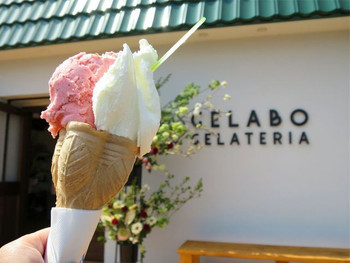「ジェラテリア ジェラボ」 料理 50203297 ジェラートダブルコーン（ミルク＆ストロベリー、420円）