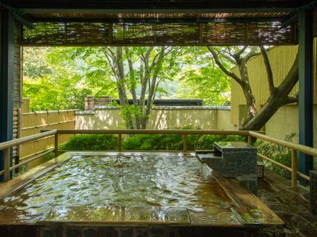 鬼怒川温泉 鬼怒川パークホテルズ / 2