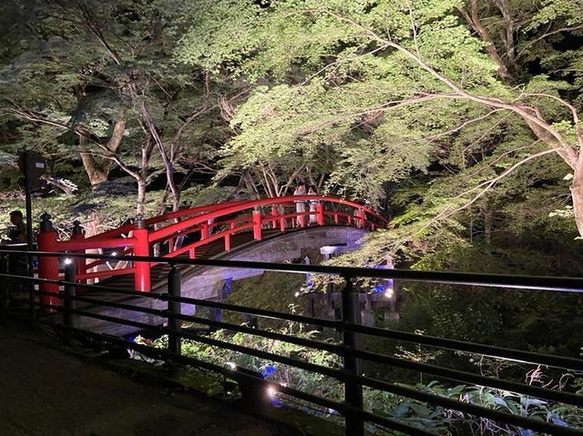 flower__m91さんの写真 / 4