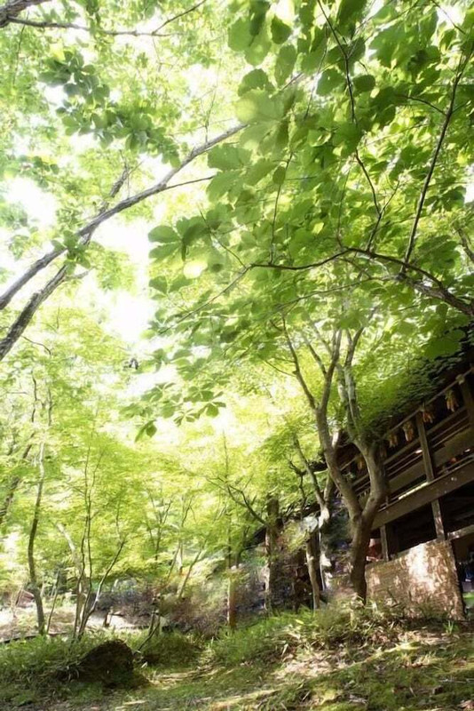 施設の敷地