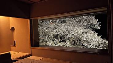 部屋からの景観 / 22