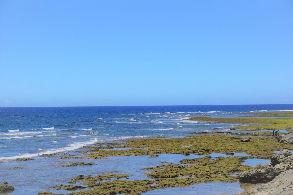 施設からの眺望