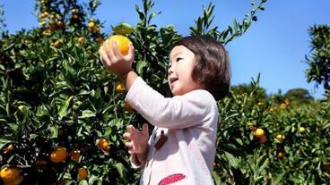 観光スポット / 5