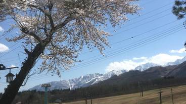 施設の敷地 / 23