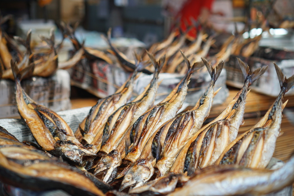 福井へ女子旅するなら観光やグルメを思う存分楽しみたいっ!3445557