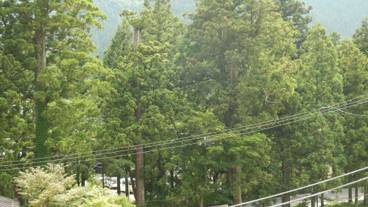 部屋からの景観 / 17