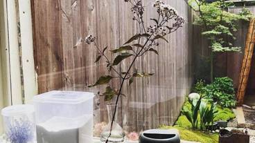 バスルーム / 12