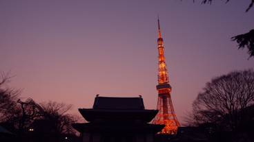 増上寺と東京タワー / 1