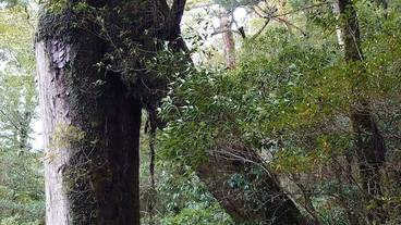 観光スポット / 6