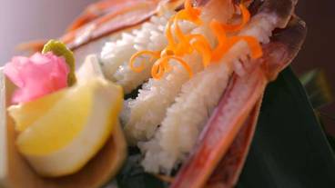 食事・飲み物 / 10