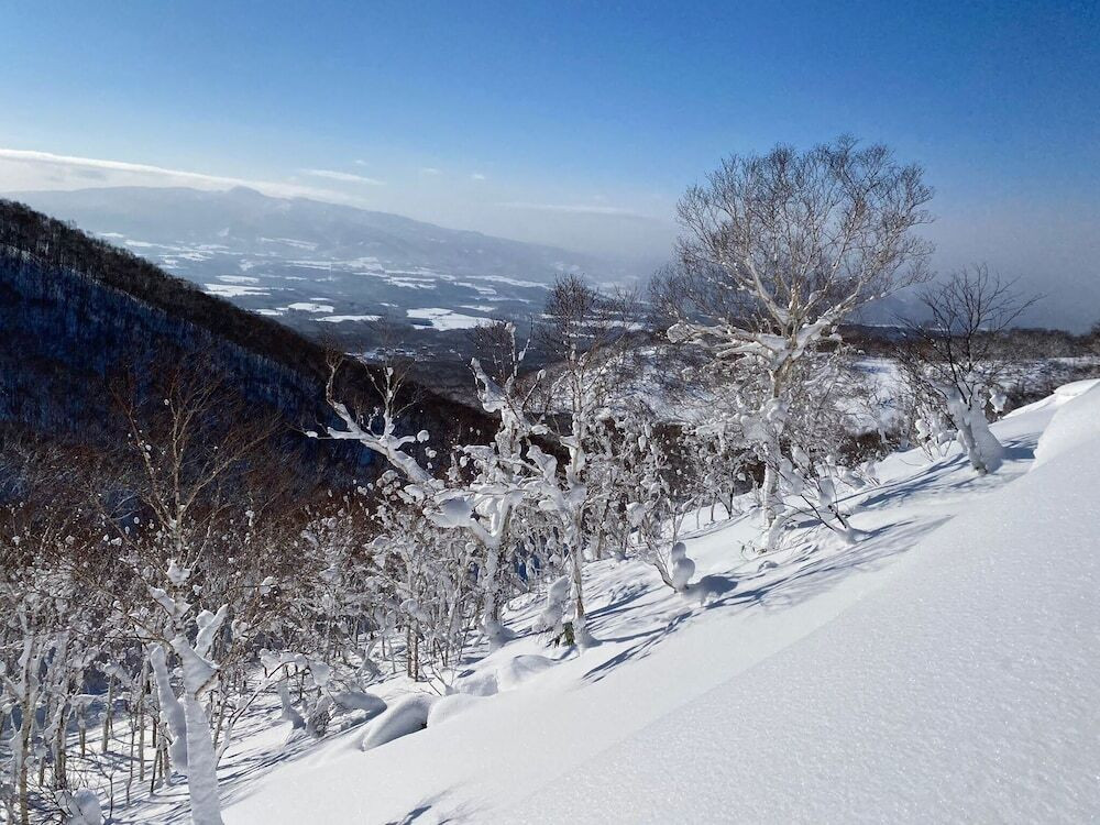 スノー スポーツとスキー