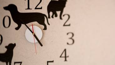 インテリアのイメージ / 17