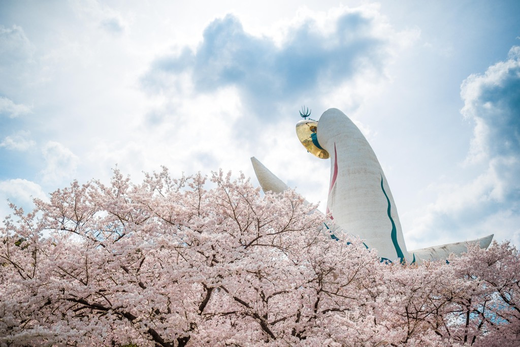 桜の見頃は3月下旬～4月上旬1029423