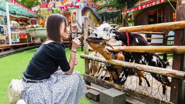 子供向けアクティビティ / 12