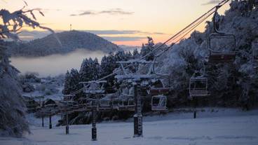 施設の敷地 / 15