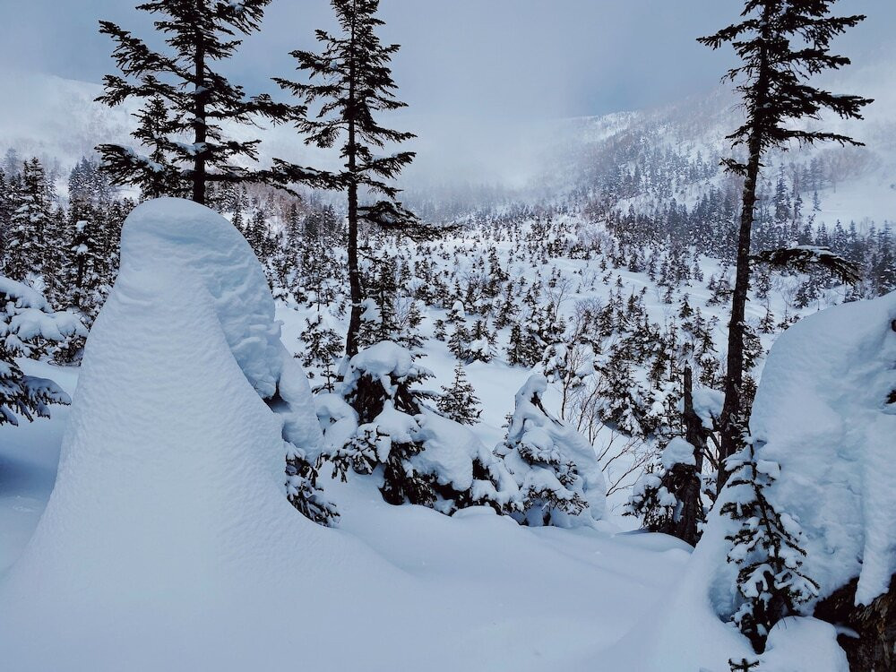 スノー スポーツとスキー