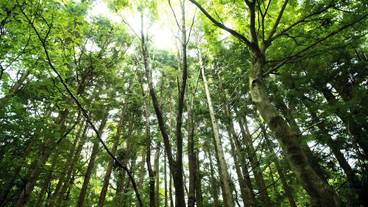 バルコニーからの眺望 / 8