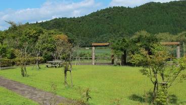 ランド ビュー / 8