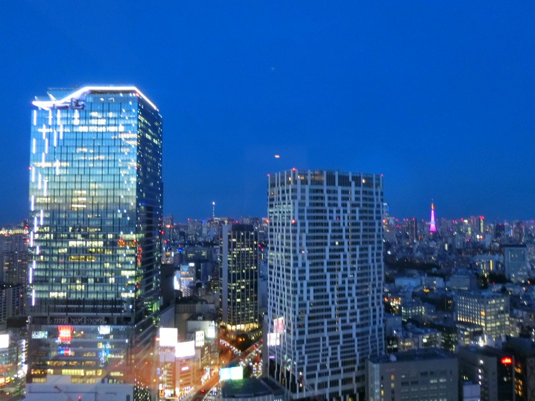 客室からの眺望