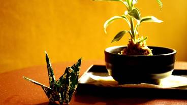 食事・飲み物 / 1