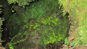 施設の敷地 / 15