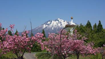 マウンテン ビュー / 11