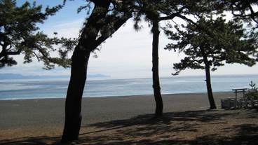 観光スポット / 10