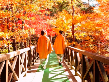 富士山ビューが自慢。館内のいたるところで富士山が眺められる宿3411427
