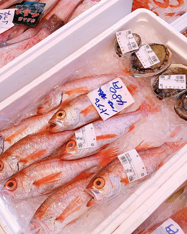 城崎の隣にある「津居山漁港」をはじめ、さまざまな近隣漁港から日本海の旬の恵みが集まる。春や秋ののどぐろ、秋から冬にかけての甘えびなど、季節の新鮮魚介が目白押し / 3