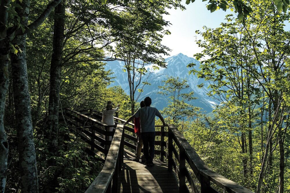 キャノピーウォーク