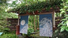 伊豆高原 城ケ崎温泉 花吹雪