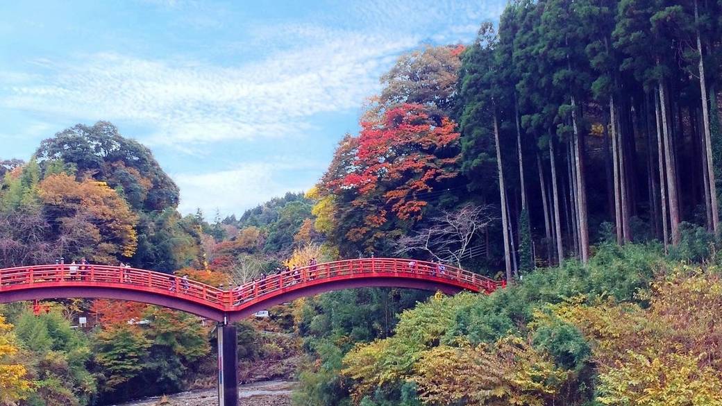 周辺をドライブ
「養老渓谷」を歩く / 2