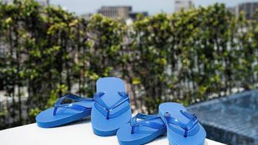 客室の設備とサービス / 29