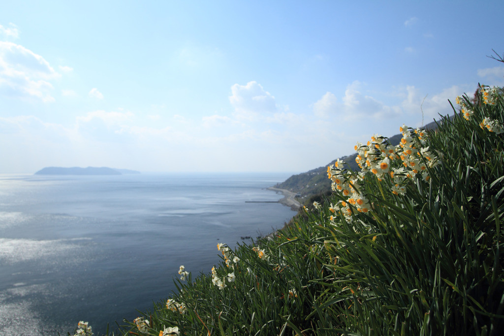 食の宝庫「淡路島」899340