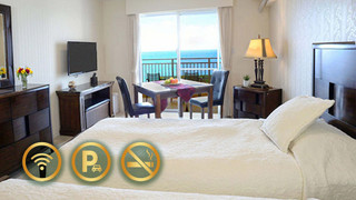 [オーシャンビュー] ツインルーム(1~2名様)33平米