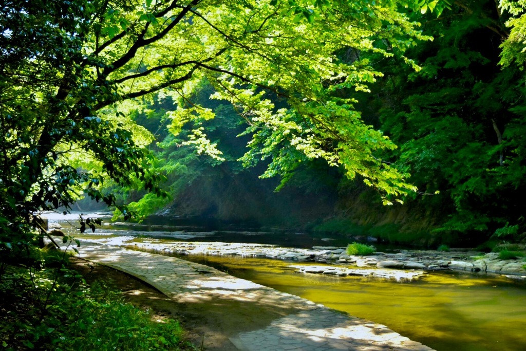 「養老渓谷」を散策して心のモヤモヤを浄化しよう3553189