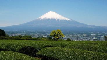 シティ ビュー / 3