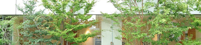 高知を女子一人旅でゆったり巡る。拠点にしたいおすすめホテル9選