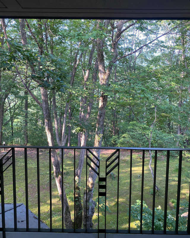 masamin.0505さんの写真 / 2